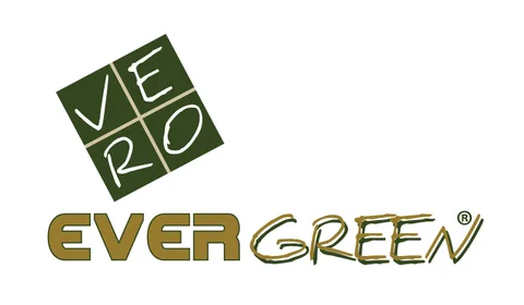 evergreen